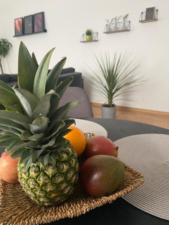 Penthouse West S Appartamento Varaždin Esterno foto